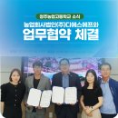 디에스에프 이미지
