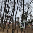 솜팡 | 대구 아이랑 갈만한 곳 - 실내 키즈온수풀이 있는 솜팡 체험형 키즈카페