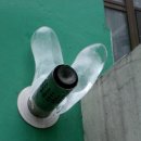 각시방