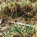 고실농장 이미지