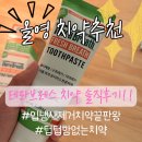 테라넷 - 전주시 완산구 | 🏆올리브영 치약 추천ㅣ 테라브레스 프레시브레스 마일드민트 #내돈내산 #솔직 후기