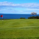 능주파크골프장 이미지