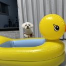 사계에반하다2 이미지