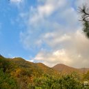 [강원/영월] 촌캉스 숙소 추천 &#39;산골초가&#39; 사랑채 후기 - 1일차 | 삼시세끼 | 챙겨갈 것 | 2박3일 | 여행기