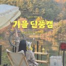 예쁠수밖개 | 가을캠핑장 준비물 추천｜강원도 횡성 단풍캠핑 애견동반 명당 후기