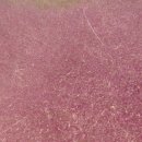 송정대로 이미지