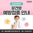 봄봄동물병원 네이버블로그