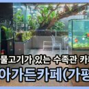 매력아쿠아수족관
