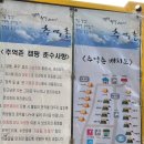 추억촌 이미지