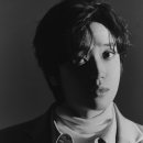 니엘헤어 이미지