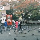 용두산공원 7호매점