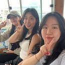 내도모해