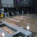 아이언게러지 이미지