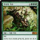 롤링다이스 이미지