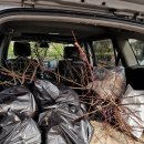 매화영농조합법인 이미지