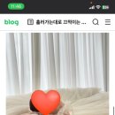 민트마인