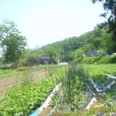 교도소 앞 이미지