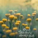 정동근린공원 이미지