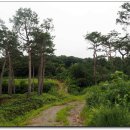 성송초등학교 이미지