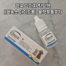 블랙드롭 | 영국 강아지 탁망액 엘녹스 아이드롭 블랙푸들 사용 후기