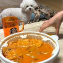 더착한떡볶이 | 엽떡 로제떡볶이 착한맛 후기 : 역시 근본, 그렇지만 다음에는?
