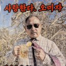비육대주