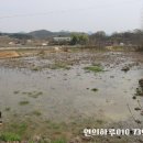 황산윤가네농장 이미지