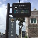 금악초등학교 | 제주 금오름 협재에서 버스 타고 다녀온 후기