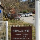용두농장2 | [광주 서구] 인스타 핫플 애견 동반 카페 ‘아벤티노의 농장’ 주말 방문 후기