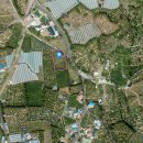 상예동-1 이미지