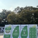 랩소디프로젝트 | 크레디아 손열음 파크콘서트 with 고잉홈 프로젝트 공연 후기