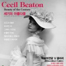 세실 이미지