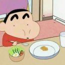 더노아하우스 | W4. 구도·채광 맛집 웨촬 추구미 정리🌿 | 노아고즈 선택 이유