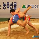 배지기 이미지