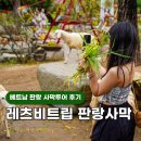 판랑 사막투어 조인 단독투어 지프투어 후기