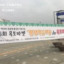 옥토 마켓