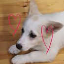 달리는 커피 홍성로데오점 이미지