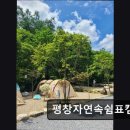 평창자연속쉼표 | ＊강원도추천캠핑장＊ 평창자연속쉼표캠핑장 깨끗한 자연과 조용한 휴식 공간 제공