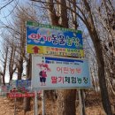 기광농장 | [딸기체험농장] 서울 근교(양수리) 딸기 체험 '어린농부딸기체험농장'