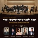 하모니챔버오케스트라 이미지