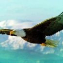 여주-0061 이미지