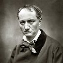 양재도서관 이미지