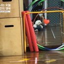 대성권투체육관 이미지