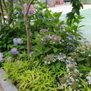 휴밸리스토리 이미지