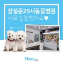 펫２５시동물병원