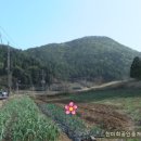 고성부동산중개사무소 이미지