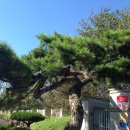 기산초교 이미지