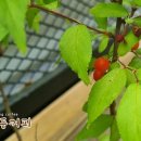 한동커피 네이버블로그
