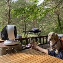 영월캠프 이미지