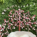 페스츄리(PET'S TREE) 이미지